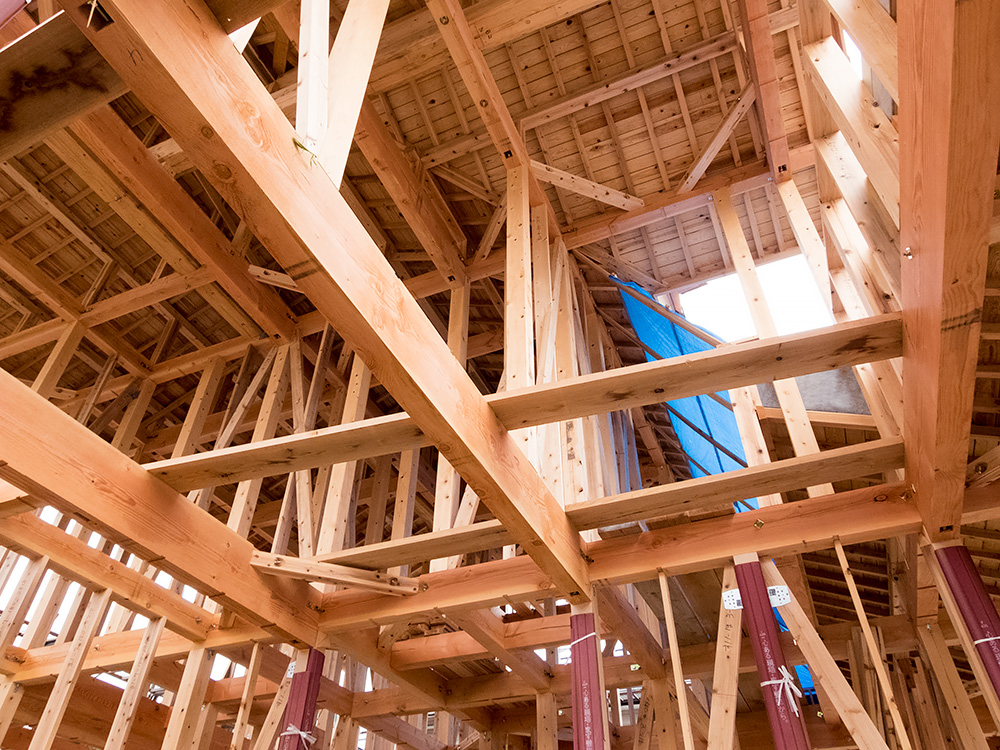 伝統ある町並みに建てる風格ある木造邸宅(2)_a0163962_7461320.jpg