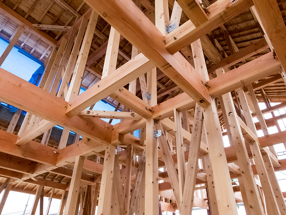 伝統ある町並みに建てる風格ある木造邸宅(2)_a0163962_7464227.jpg