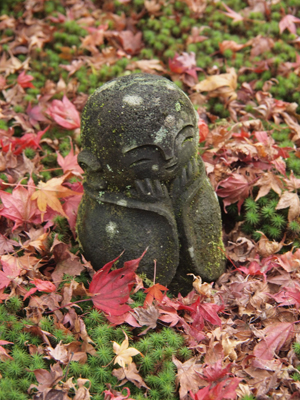 秋の京都散策（円光寺） ～その１～_b0112263_19442446.jpg
