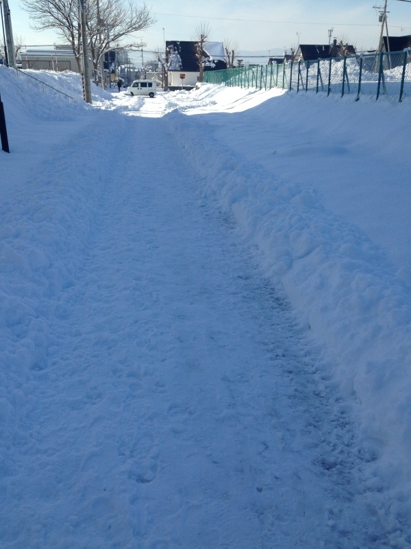 d0320463_12440371.jpeg