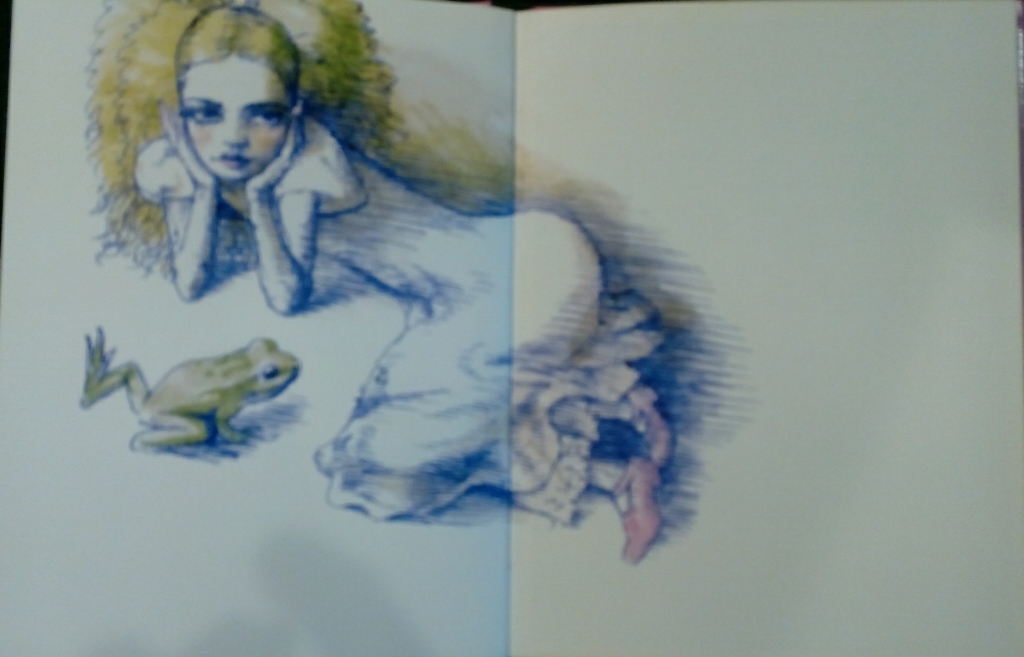 グリム童話「カエルの王さま」ほか　30冊 グリム兄弟 かえるの王子さま - 童話集 - Hardcover Journals