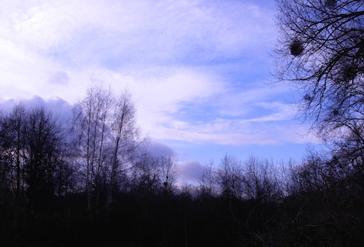 e0357367_0101978.jpg