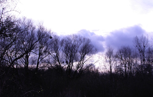 e0357367_0103530.jpg