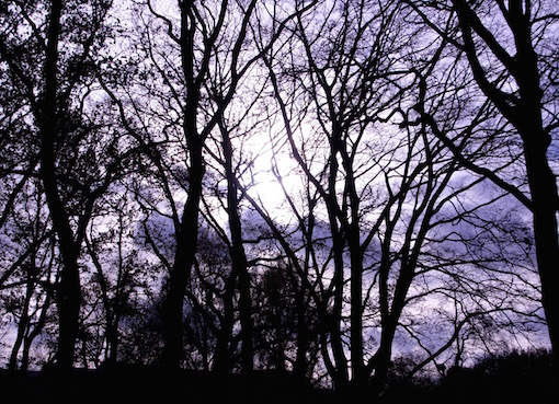 e0357367_0105052.jpg