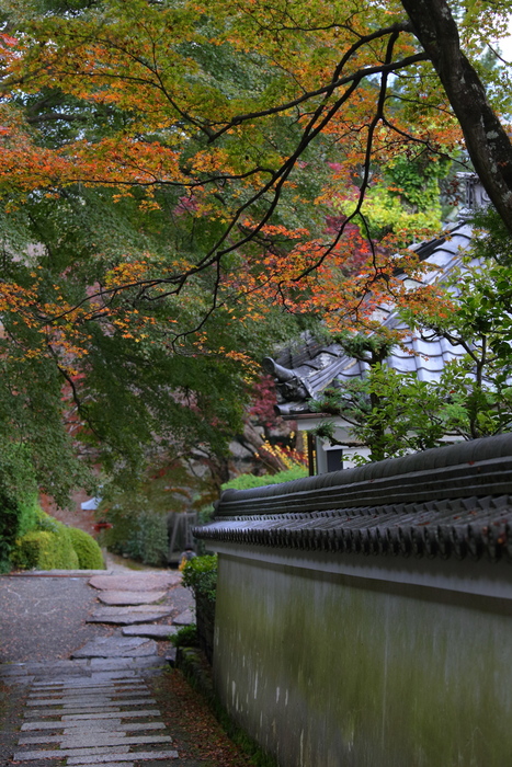 紅葉2015　　　善峯寺　　　　　　　　　　　　　　　　　_f0021869_23495965.jpg