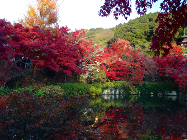 紅葉の京都へ　　永観堂〜高台寺_f0052869_012107.jpg