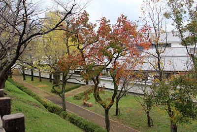 市内で見つけた！紅葉めぐり②桜の馬場城彩苑_c0152779_19412219.jpg