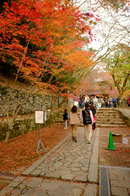 湖東三山と近江八幡(4)永源寺_c0013687_22542870.jpg