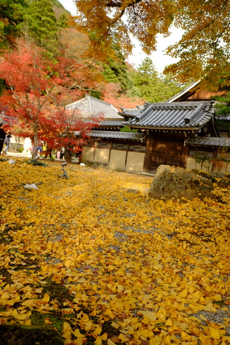 湖東三山と近江八幡(4)永源寺_c0013687_22543810.jpg