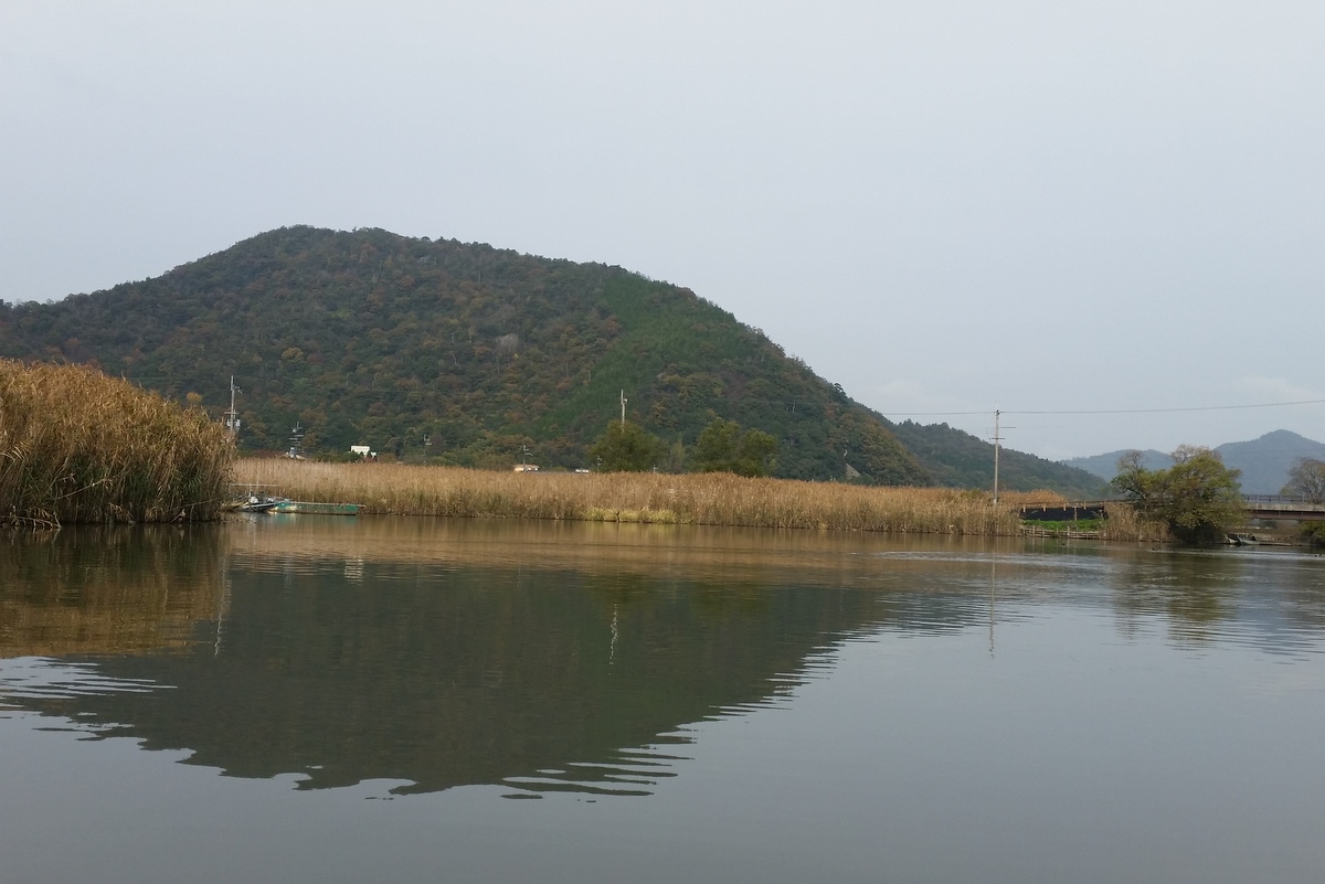 湖東三山と近江八幡(6)水郷めぐり_c0013687_23345013.jpg