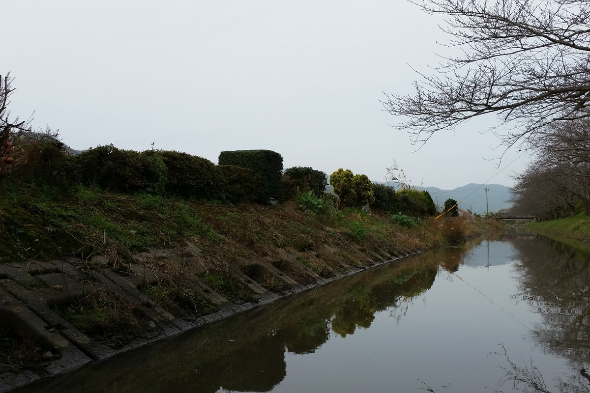 湖東三山と近江八幡(6)水郷めぐり_c0013687_23353070.jpg