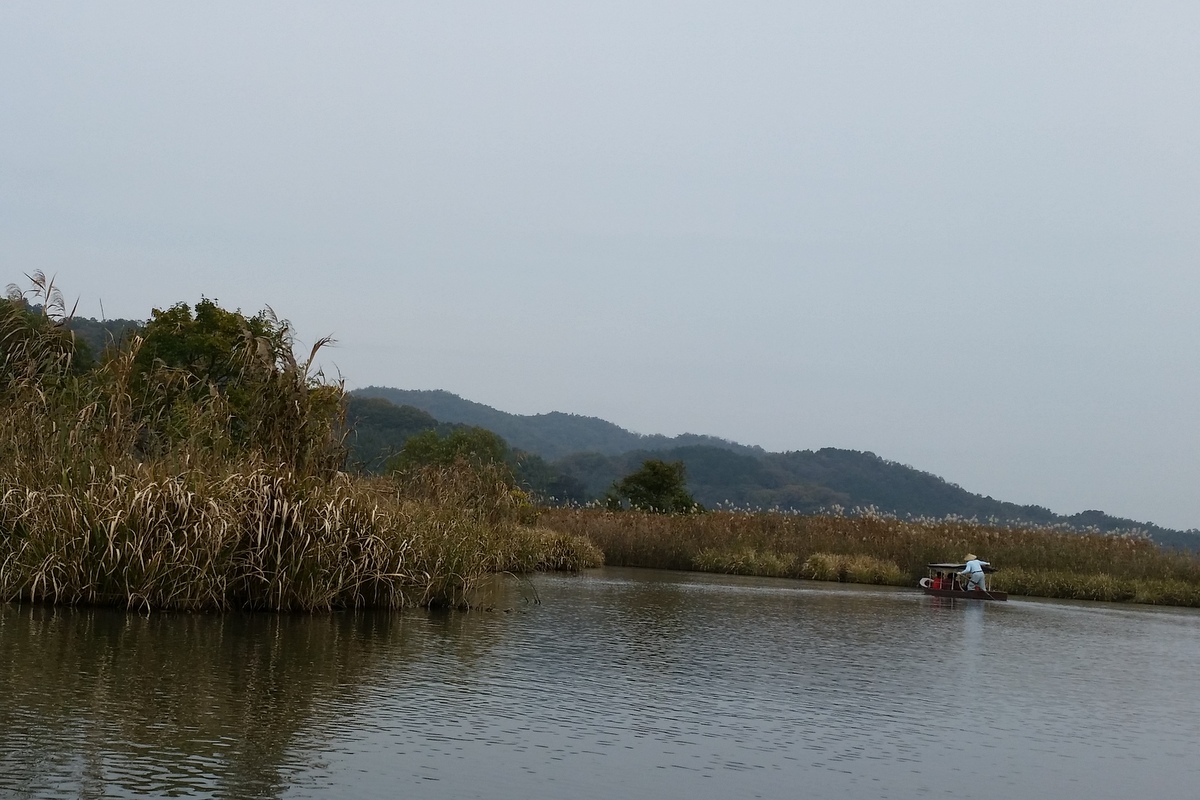 湖東三山と近江八幡(6)水郷めぐり_c0013687_23371059.jpg