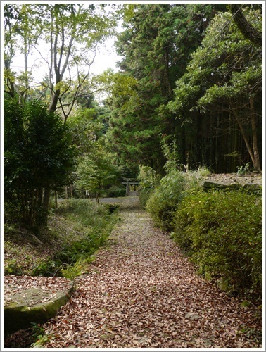 国東半島へ紅葉狩り その3 千燈寺跡_b0175688_22224591.jpg