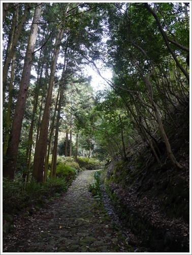国東半島へ紅葉狩り その3 千燈寺跡_b0175688_22224958.jpg