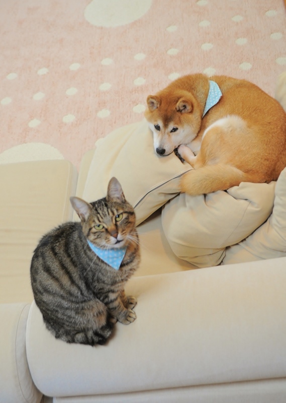 親孝行_a0126590_06100951.jpg