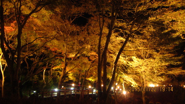 c0133096_20305512.jpg