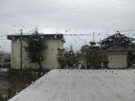 時雨れる日_a0203003_1192018.jpg