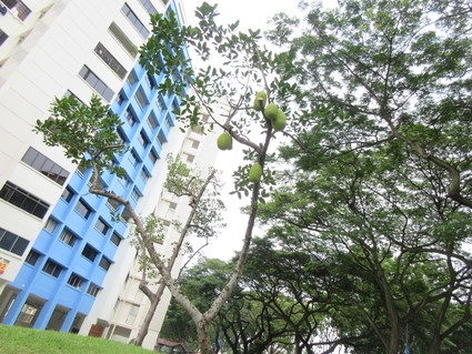c0212604_21135386.jpg