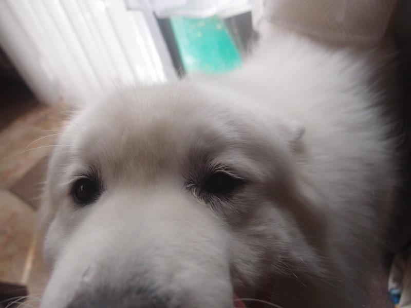 e0018604_20193615.jpg