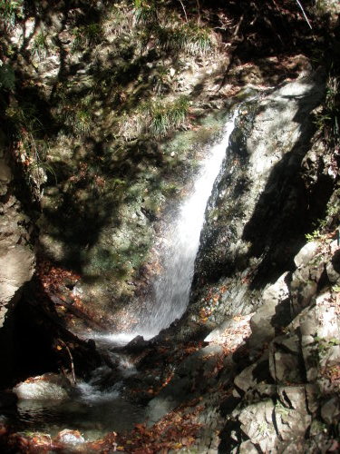 d0342206_18072781.jpg