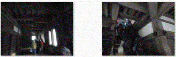 f0231709_8131116.gif