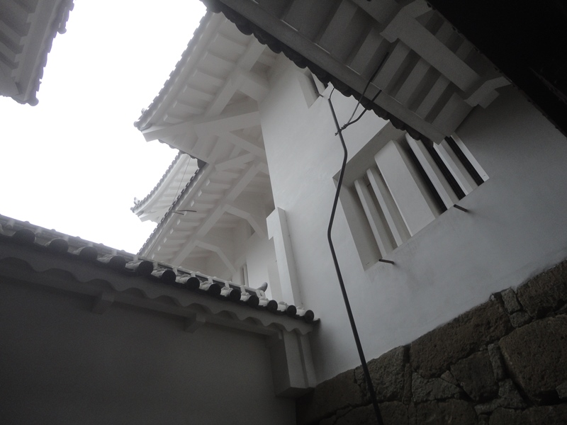 f0231709_88263.jpg