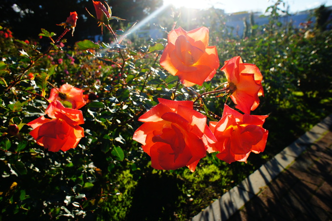 d0021510_1573610.jpg
