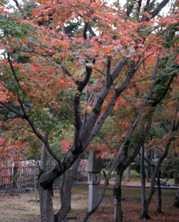 e0048413_18474245.jpg