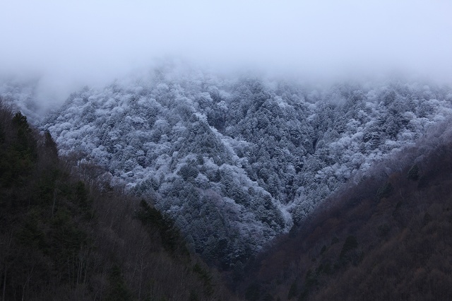 e0242721_8534090.jpg