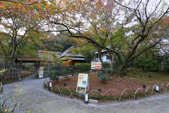 紅葉の京都2015 －宝厳院－_b0169330_21123775.jpg