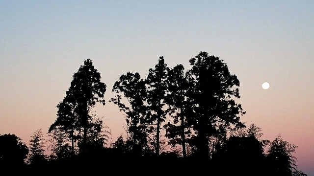 a0230831_07293279.jpg
