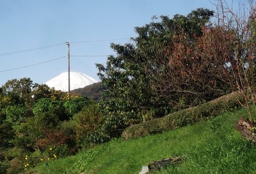 b0137932_16263430.jpg