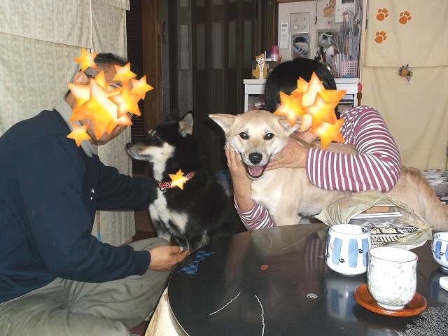a0322733_23052304.jpg