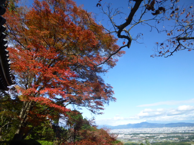 京都紅葉情報　2015　11/27_d0106134_2156376.jpg