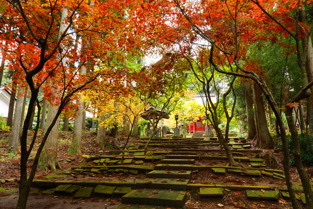 紅葉～如法寺_a0330642_1012669.jpg