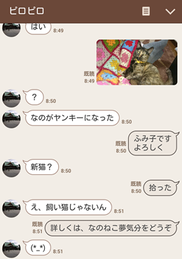 b0151748_11450781.png