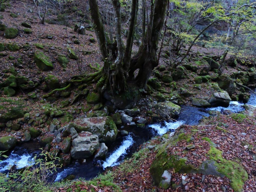 狩野川水系の源流を歩く_f0043750_20222253.jpg