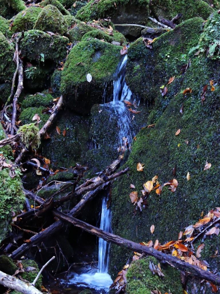 狩野川水系の源流を歩く_f0043750_20224065.jpg