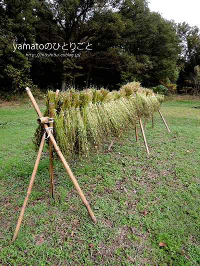 a0286855_15535883.gif