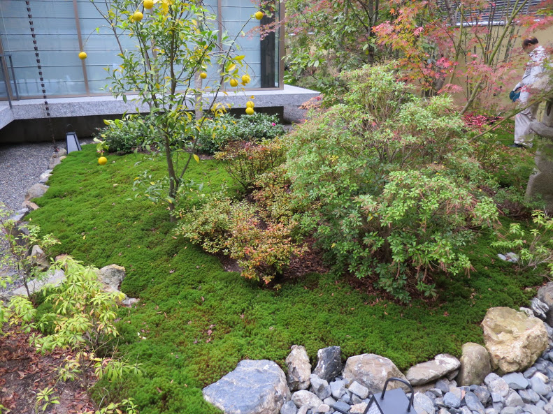 f0036857_20105318.jpg