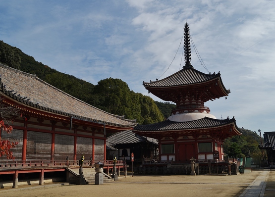 尾道・福山旅行(5)浄土寺 ~笠智衆と原節子の会話が聞こえてくるような~_b0063958_22522845.jpg