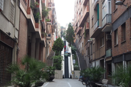 c0351060_00152787.jpg