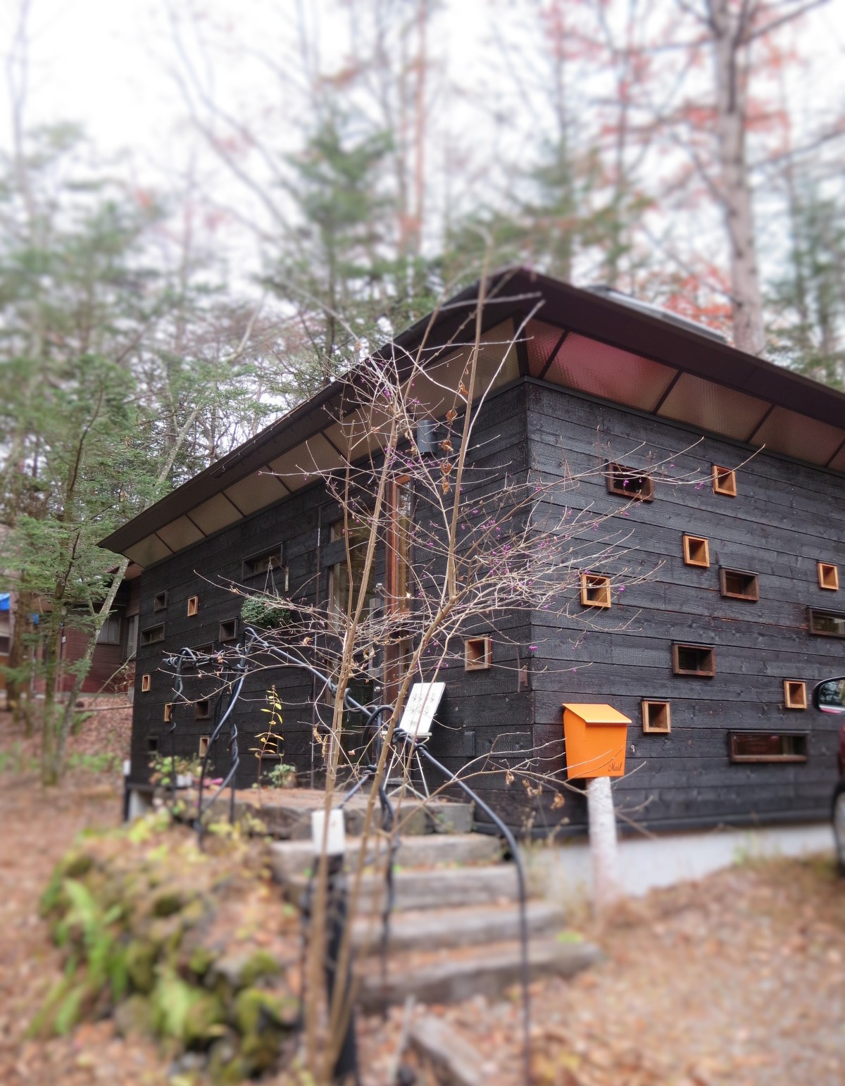 f0236260_2015429.jpg