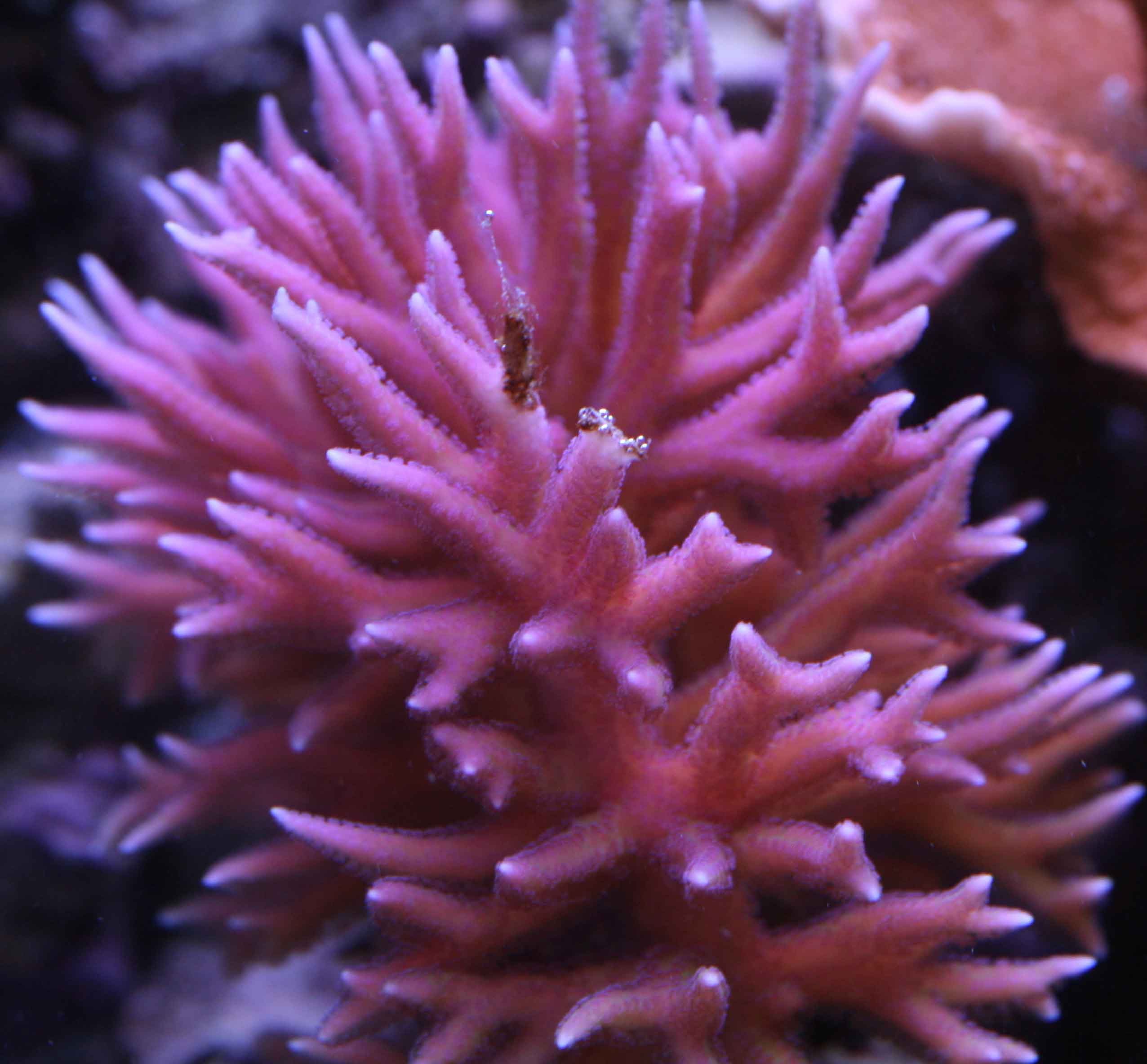 a0162261_17235655.jpg