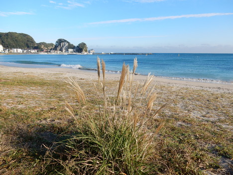 ’15,11,27(金)興津海岸が怒っている?_f0060461_9285494.jpg