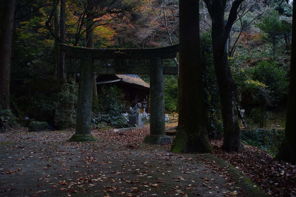 神社の印象_c0116464_18393953.jpg