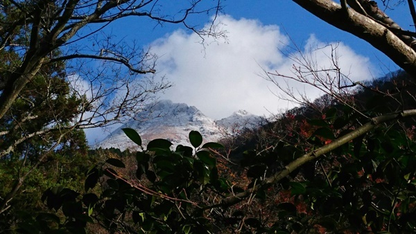 e0345868_21590221.jpg