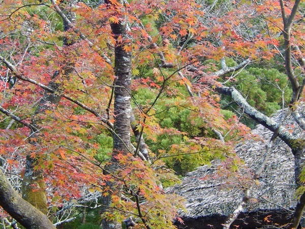 e0345868_22064753.jpg