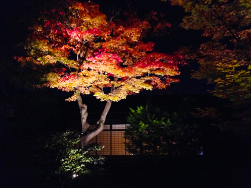 紅葉の京都へ　　永観堂〜高台寺_f0052869_1613989.jpg