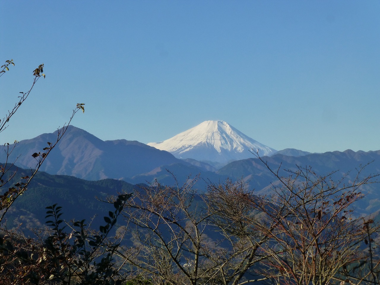 高尾山・１１月２７日_d0351575_20230290.jpg